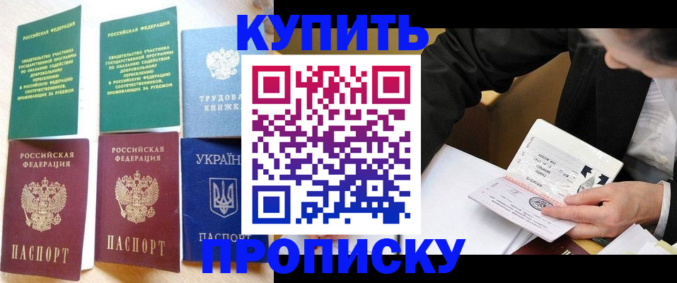 прописка для школы в Заполярном
